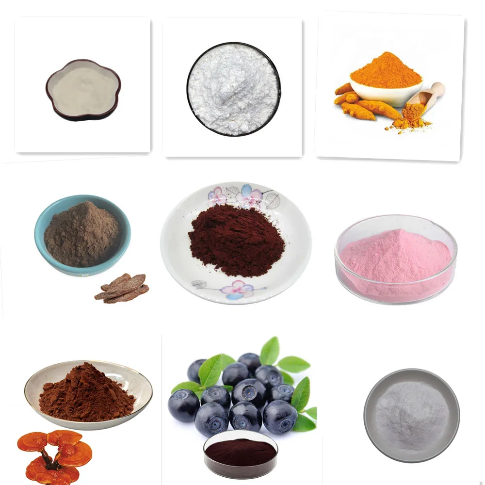 จัดส่งฟรีธรรมชาติอินทรีย์ Indi - Indigo Dye Kit บทวิจารณ์และราคา